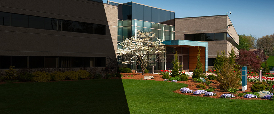 Grasonville Landscapers